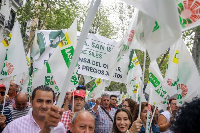 Numerosas personas con pancartas en la manifestación convocada por COAG, UPA, Asaja y Cooperativas Agro-Alimentarias en defensa del olivar tradicional ante la crítica situación que atraviesa el sector por los bajos precios en origen del aceite de oliva