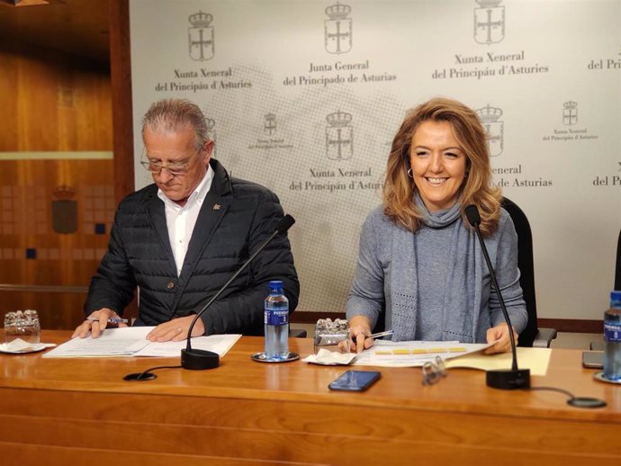 La portavoz del PP en la Junta General, Teresa Mallada, y el diputado José Manuel Felgueres, en rueda de prensa.