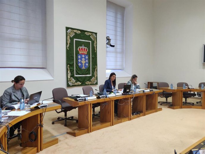 La valedora do pobo, María Dolores Fernández Galiño, en la comisión especial para el seguimiento de las políticas relativas a la discapacidad