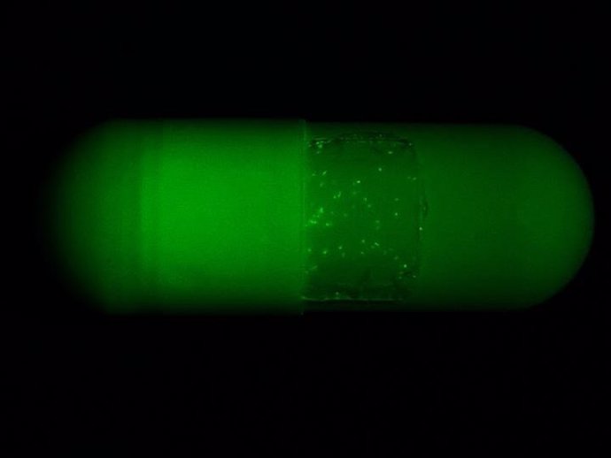 Una etiqueta de seguridad en la superficie de las cápsulas del medicamento. La foto fue tomada con un filtro verde para mayor visibilidad.