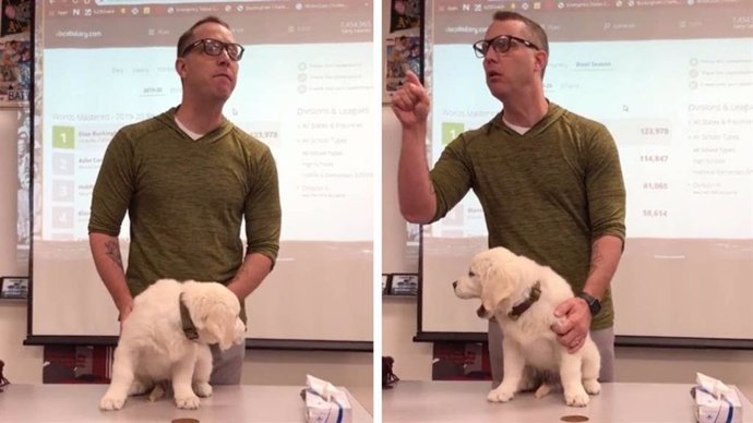 Un profesor de secundaria se las ingenia con dos cachorros de Golden Retriever en clase para motivar a sus alumnos a estudiar