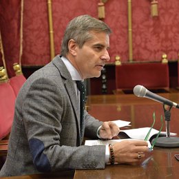 El concejal de Seguridad Ciudadana de Granada, César Díaz