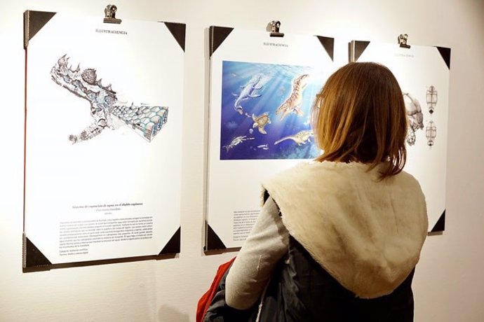 Una exposición describe el arte de ilustrar la ciencia
