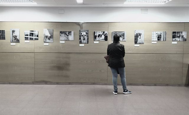 Exposición del fotógrafo toledano Álvaro Gutiérrez.