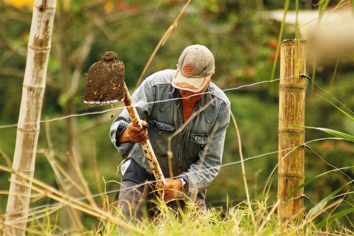 Agricultor en Colombia