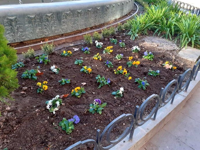 Ayuntamiento repone flores de temporada en la zona B de la ciudad