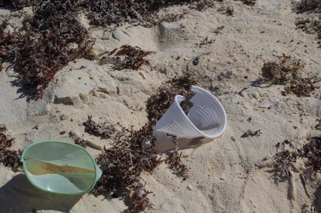 Vasos de plástico en una playa