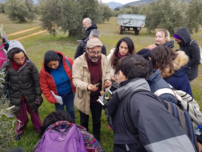 Visita a un olivar en el marco del Máster de Agroecología de la UNIA en Baeza