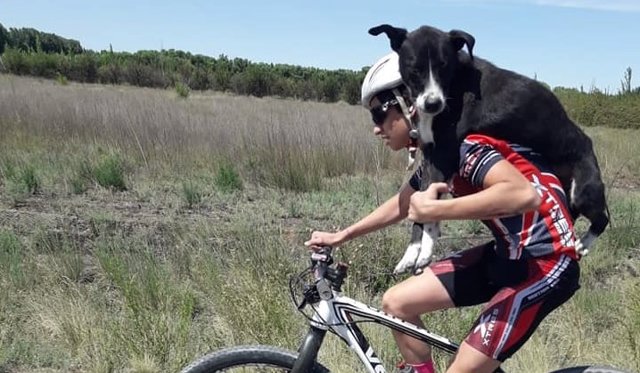 Un grupo de ciclistas rescata a un perro abandonado llevándolo a cuestas hasta ponerlo a salvo