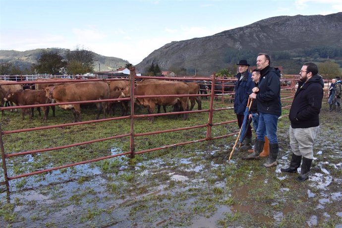 El consejero de Desarrollo Rural, Ganadería, Pesca, Alimentación y Medio Ambiente, Guillermo Blanco, durante su visita a la feria ganadera anual de San Felices de Buelna