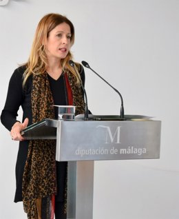 Málaga.- El PSOE pide a Diputación que inste a la Junta a mantener el IAM, reconocer su labor y rechazar los "ataques"