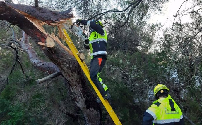 El temporal provoca en Formentera la caída de árboles y otras pequeñas incidenci