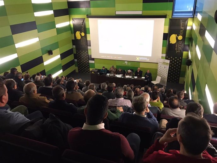 Reunión del Consejo Sectorial de Aceite de Oliva de Cooperativas Agro-alimentarias de Andalucía