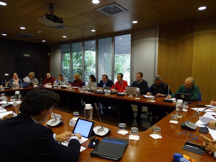 Imagen de la reunión ordinaria de la Mesa General del Personal Funcionario, Estatutario y Laboral de la Junta de Andalucía, celebrada este lunes.