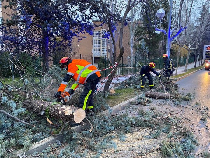 Bomberos de la Comunidad de Madrid retiran un pino a puento de acer en la avenida de los Reyes de Majadahonda