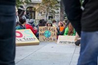 El Gobierno aprobará previsiblemente mañana una declaración sobre la emergencia climática