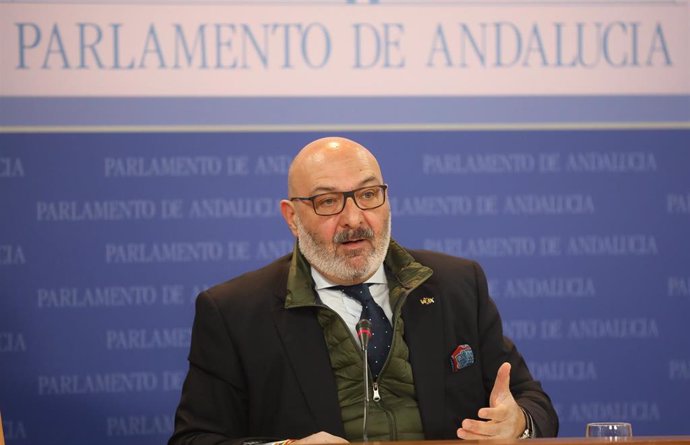 El portavoz del grupo parlamentario Vox en Andalucía, Alejandro Hernández