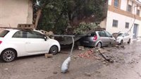 Un tornado provoca daños en instalaciones municipales, árboles y farolas de Vilamarxant