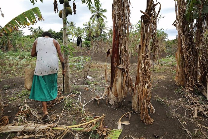 Efectos del cambio climático en Vanuatu