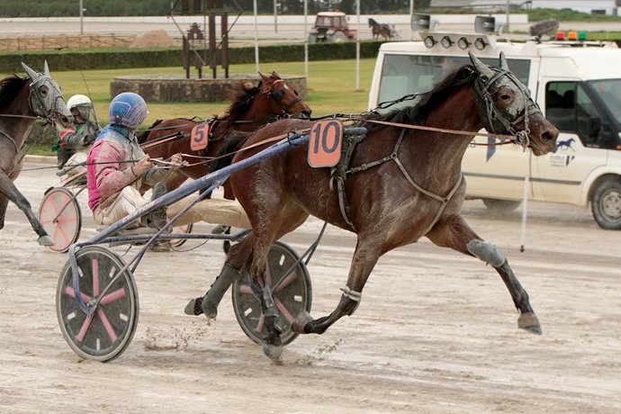 La yegua de la 'Cuadra Es Pou d'es Rafal' se clasifica para el Gran Premio Nacional