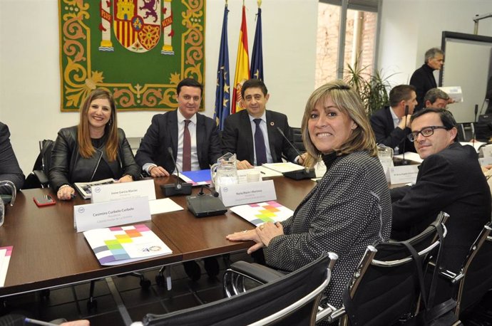 La presidenta de Diputación de Cádiz, Irene García, en la sesión constitutiva de la Comisión de Diputaciones, Cabildos y Consejos Insulares de la FEMP