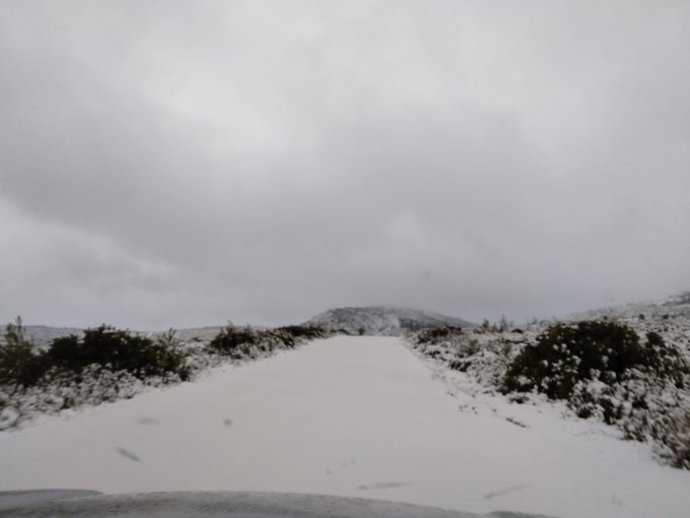Efectos del temporal Gloria