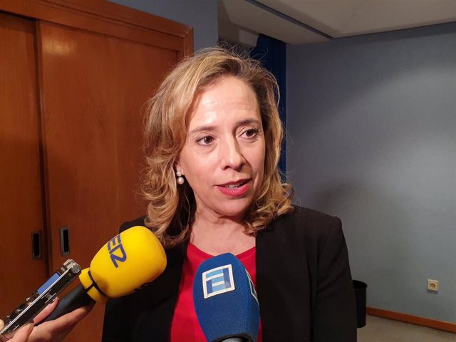 La directora general de Energía, Minería y Reactivación del Principado, María Belarmina Díaz Aguado