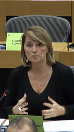 La eurodiputada Rosa Estarás en la Comisión de Peticiones del Parlamento Europeo.
