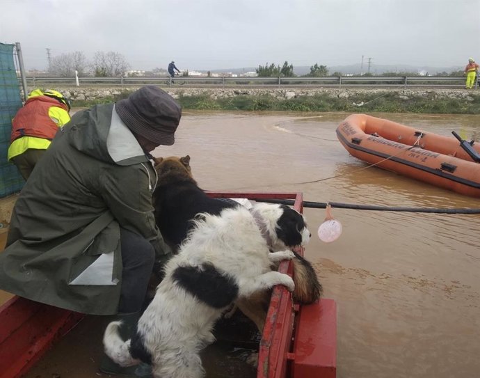 Rescate de un hombre y sus perros en Alzira