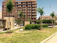 El indigente hallado muerto en un parque de Almería en pleno temporal falleció de hipotermia, según la autopsia