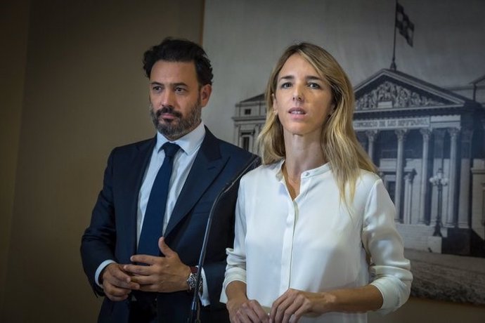 Guillermo Mariscal y Cayetana Álvarez de Toledo, haciendo declaraciones