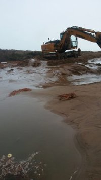 La Albufera comienza a desaguar de forma natural y se evalúa el impacto de 'Gloria' en el cordón dunar