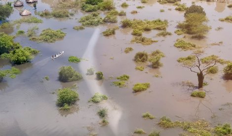 Cooperación y Desarrollo