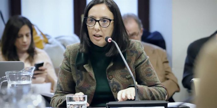La concejal del PSOE en el Ayuntamiento de Madrid Mercedes González interviene durante una comisión municipal.