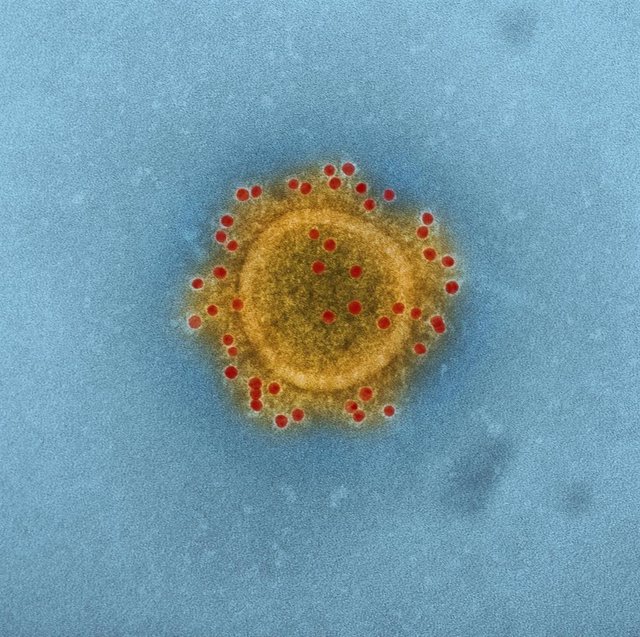 China.- La OMS no declara la emergencia internacional por el coronavirus en Chin