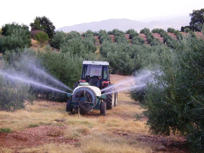 Imagen de archivo de un tractor en olivar de Jaén
