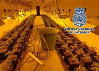 Un detenido tras desmantelar un laboratorio de marihuana en un polígono industrial en Málaga