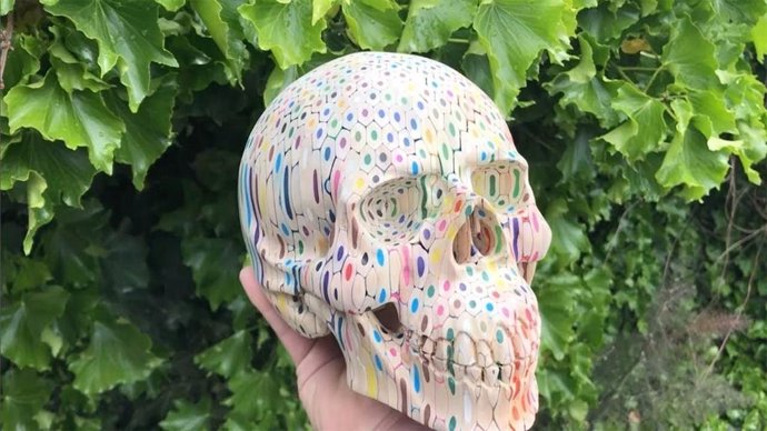 600 Lápices De Colores Han Hecho Falta Para Crear Una Escultura A Escala Real De Un Cráneo Humano