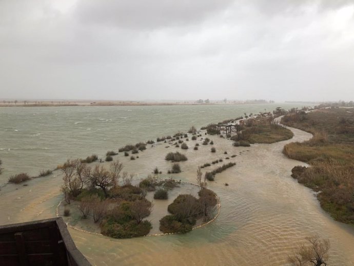 Inundacions a la zona del delta de l'Ebre per la borrasca Gloria.