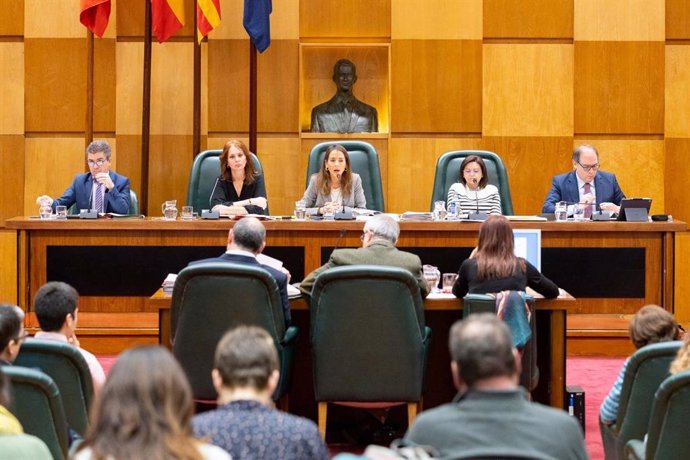 La Comisión de Hacienda del Ayuntamiento de Zaragoza aprueba el proyecto de Presupuesto para 2020