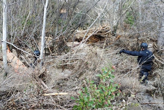 Mossos d'Esquadra realizan labores de búsqueda entre escobros del temporal 'Gloria'.
