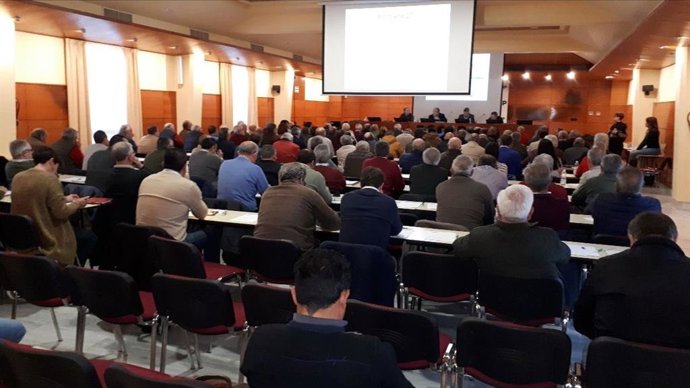 Dcoop pide "unidad y colaboración" entre almazaras ante la "situación crítica de