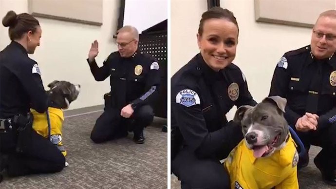 Un perro enfermo de un cáncer terminal se convierte en perro policía k-9 por un día