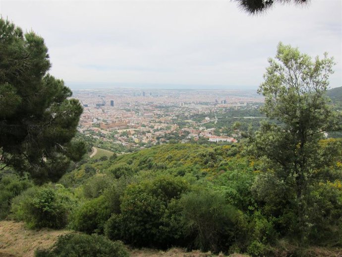 Parc De Collserola