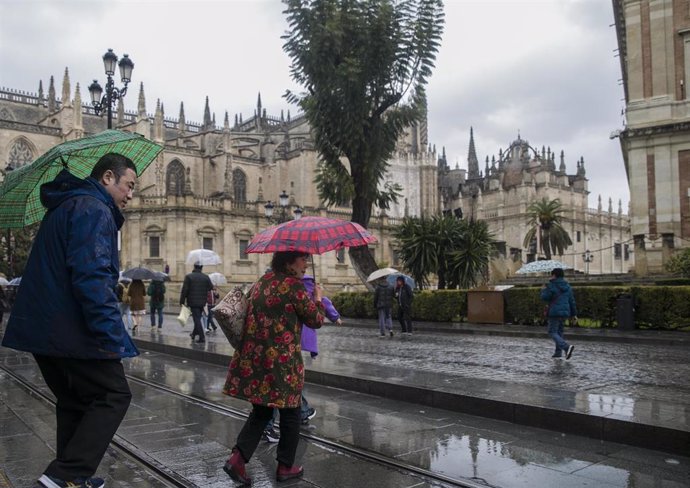 Imágenes de lluvia en Sevilla (Andalucía), a 23 de enero de 2020.
