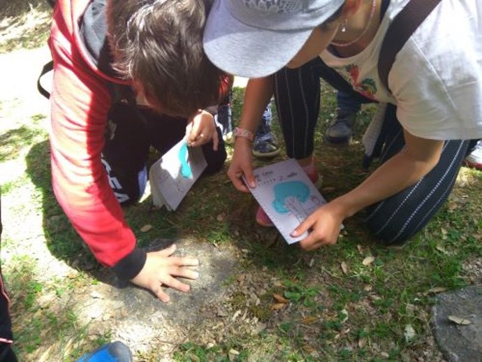 Escolares del programa de la Fundación Oso Pardo