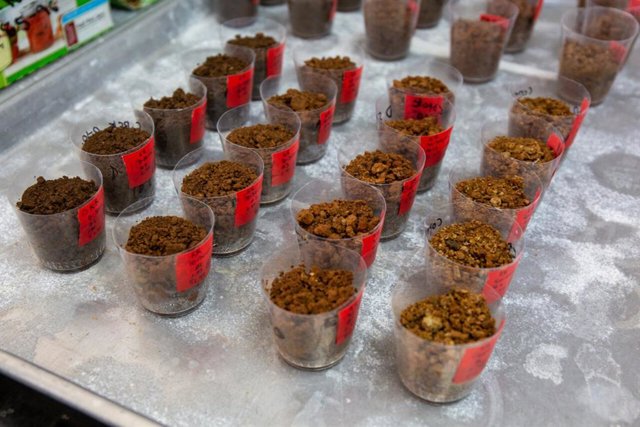 Muestras de suelo empleadas para el estudio