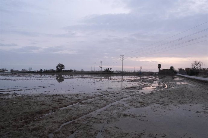 Zona propera a Riumar (Tarragona), al delta de l'Ebre, inundada por la borrasca Gloria