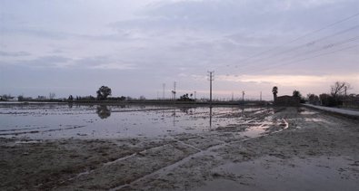 Medio Ambiente