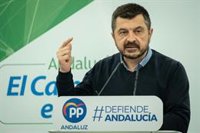 PP-A dice que Moreno hará una "defensa absoluta" de Andalucía este martes en el Parlamento frente a "ataques" de Sánchez